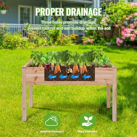 Backyard Expressions Wooden Raised Garden Bed | 48" x 24" x 30" Elevated Planter Box with Included Bed Liner | Outdoor Vegetable, Flower, and Herb Gardening BACKYARD EXPRESSIONS PATIO · HOME · GARDEN