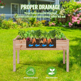 Backyard Expressions Wooden Raised Garden Bed | 48" x 24" x 30" Elevated Planter Box with Included Bed Liner | Outdoor Vegetable, Flower, and Herb Gardening BACKYARD EXPRESSIONS PATIO · HOME · GARDEN