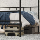 Novogratz NA Novogratz