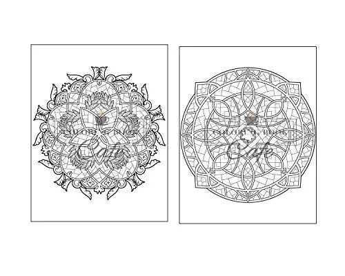 125 Mandalas: An Adult Coloring Book Featuring 125 of the World’s Most Beautiful Mandalas for Stress Relief and Relaxation Independently Published Iaerlllt