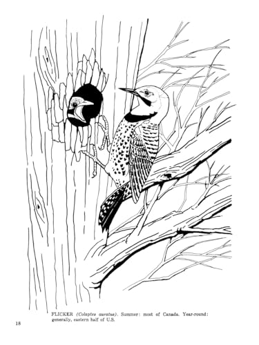 Fifty Favorite Birds Coloring Book (Dover Animal Coloring Books) Dover Publications