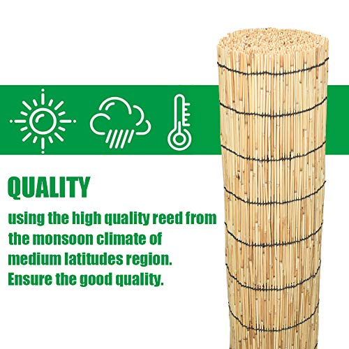 Mininfa Natural Reed Fencing, Eco-Friendly Reed Fence, 4 feet High x 13 feet Long, Reed Screen for Garden, Privacy Mininfa