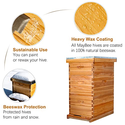 MayBee 8-Frame Langstroth Beehive Dipped in 100% Beeswax, Bee Hive for Beginner, Honey Bee Hives Includes 2 Deep Bee Boxes, 1 Bee Hive Super with Beehive Frames and Foundation (3 Layer)