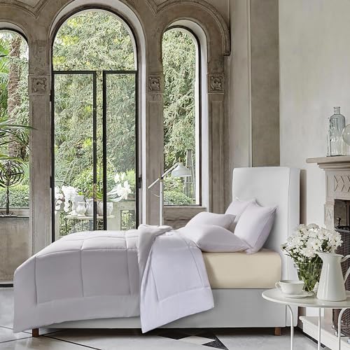 Blue Ridge Home Fashions Comforter Breathable Microfiber Duvet Insert, Summer Cooling Winter Warm Reversible Down Alternative Quilt Comforter for All Season, Full/Queen, White/Platinum Blue Ridge Home Fashions