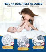 100% Waterproof Queen Mattress Protector Breathable Cooling 3D Air Fabric Mattress Cover Smooth Soft Hypoallergenic Noiseless Bed Cover Machine Washable Vinyl Free, 8-21'' Deep Pocket BOSANE