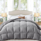 Globon Down Comforter Queen Size,All Season Duvet Insert Ultra-Soft Noiseless Shell,Mediumweight with 8 Corner Tabs, Grey Globon