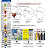 Joyhoor Stamped Cross Stitch Kits for Beginners, Needlepoint Kits for Adults, 11CT Counted Embroidery Kits-Magic Mandala 18x18 inchs