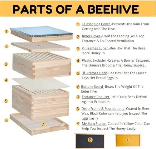 POLLIBEE Beehive 8 Frame Bee Hive Starter Kit, Bee Hives Include 1 Deep Brood Bee Box and 1 Medium Hive Box with Bee Frames and Waxed Beehive Foundation, Complete Bee Hive for Beginner POLLIBEE