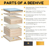 POLLIBEE Beehive 8 Frame Bee Hive Starter Kit, Bee Hives Include 1 Deep Brood Bee Box and 1 Medium Hive Box with Bee Frames and Waxed Beehive Foundation, Complete Bee Hive for Beginner POLLIBEE