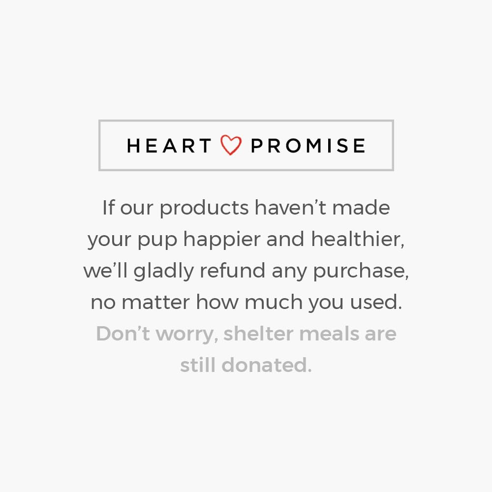 iHeartDogs Dog Memorial Keepsake Box – Pet Loss Sympathy Gift - This Urn for Ashes Feeds 5 Shelter Dogs in Honor of Your Beloved Pup iHeartDogs