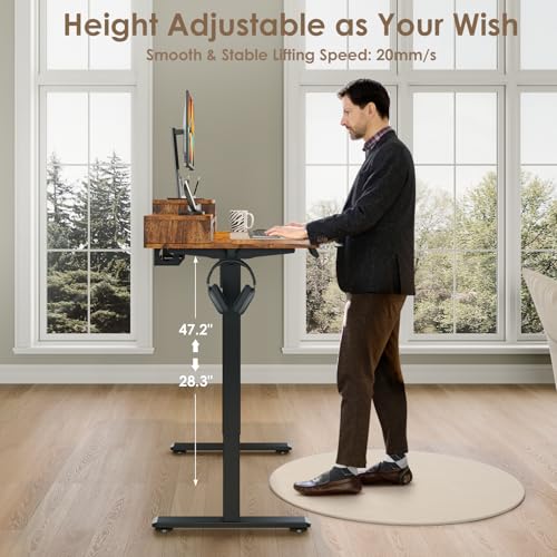 DSNAPE 48x24 Inch Electric Standing Desk with 2 Drawers, Adjustable Height Desk with Storage Shelf, 3 Preset Heights, 2 Hooks and Cable Management, Ergonomic Rising Computer Table for Home Office DSNAPE