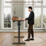 DSNAPE 48x24 Inch Electric Standing Desk with 2 Drawers, Adjustable Height Desk with Storage Shelf, 3 Preset Heights, 2 Hooks and Cable Management, Ergonomic Rising Computer Table for Home Office DSNAPE