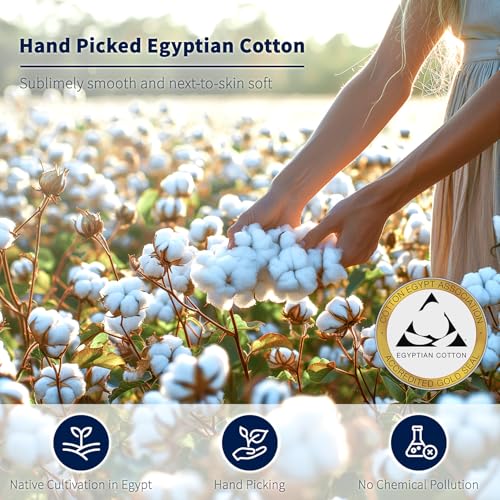 Shilucheng 100% Cotton King Size Sheets Set - 600 Thread Count，Luxury Egyptian Cotton Bed Sheets，5-Star Hotel Quality Sheets, Breathable & Cooling, 16 Inch Deep Pocket - 4 Piece (French Blue, King) Shilucheng