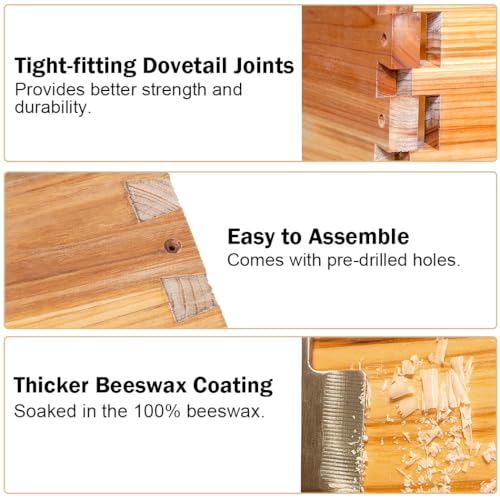 BeeCastle 5 Frame Bee Hive Nuc Box Coated with 100% Beeswax Includes Beehive Frames and Waxed Foundations BeeCastle