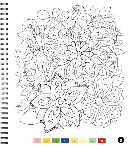 Brain Games - Color by Number - Large Print: Garden WoodArtSupply