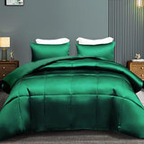 Whale Flotilla 2-Piece Reversible Silky Soft Twin Size Comforter Bedding Set, Luxurious Satin Comforters with Satin Pillowcase, Lightweight Duvet for All Seasons,Deep Green Whale Flotilla