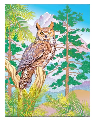 Creative Haven Forest & Woodland Wildlife Coloring Book (Adult Coloring Books: Animals) WoodArtSupply