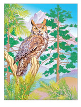Creative Haven Forest & Woodland Wildlife Coloring Book (Adult Coloring Books: Animals) WoodArtSupply