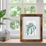 8x10 Picture Frame Brown Set of 6, Display Pictures 5x7 With mat or 8x10 Without Mat SESEAT