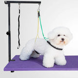 Adjustable Dog Grooming Arm with Clamp,2 No Sit Haunch Holder&Loop Noose,Adjustable Height,Foldable Dog Grooming Table Arm for Small Dogs&Puppies,Arm for Grooming Tables,Pet Grooming Stand wikdey
