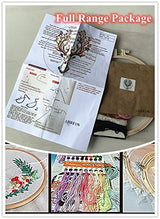 Abillyn Embroidery Starter Kit Pink Rose Stamped with Printed Pattern Cross Stitch Embroidery Kits (Flower 3)