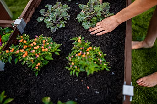 Vita Urbana 6 Foot x 6 Foot Embossed Vinyl Keyhole Garden with Composting Basket, Espresso Brown, PVC, BPA and Pthalate Free, VT17507 Vita