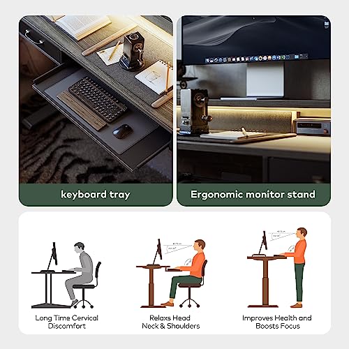 FEZIBO 55 x 25 Inch Height Adjustable Electric Standing Desk with Double Drawers&Keyboard Tray, Stand Up Desk with LED Strips, Sit Stand Desk with Monitor Stand, Rustic Grey FEZIBO