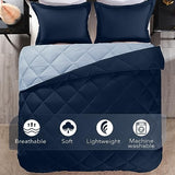 downluxe Queen Comforter Set - Blue and Sapphire Queen Comforter, Soft Bedding Sets for All Seasons -3 Pieces - 1 Comforter (88"x92") and 2 Pillow Shams(20"x26") downluxe