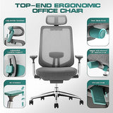 COLAMY Ergonomic Mesh Office Chair, High Back Office Chair, Computer Executive Desk Chair with Lumbar Support,Adjustable Headrest and 4D Arms, Slide Seat, Tilt Lock-Darkgrey New COLAMY