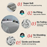 EASELAND Soft Queen Size Blanket Warm Microplush Lightweight Thermal Fleece Blankets for Couch Bed Sofa,90x90 Inches,Silver Gray EASELAND