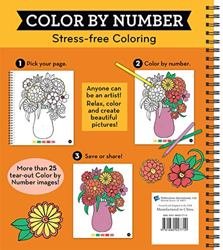 Brain Games - Color by Number: Stress-Free Coloring (Orange) Publications International, Ltd.