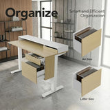 ErGear Electric 47 inch Standing Desk with Drawers and File Cabinet, Adjustable Stand up Desk with Storage, Ergonomic Sit Stand up Table Compatible Monitor Stand, Light Walnut ErGear