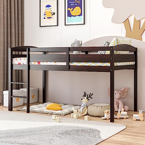 KOTEK Twin Loft Bed, Solid Wood Low Loft Bed for Kids with Ladder & Guard Rails, No Box Spring Needed, Space-Saving Loft Bed Frame for Boys & Girls (Espresso) KOTEK