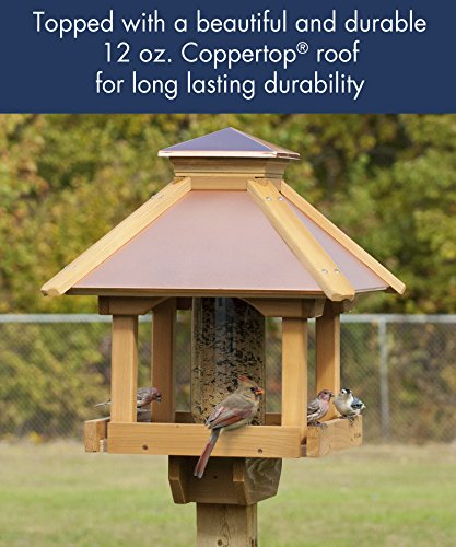 Woodlink COPGAZEBO Coppertop Wood Gazebo Bird Feeder Woodlink