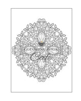 125 Mandalas: An Adult Coloring Book Featuring 125 of the World’s Most Beautiful Mandalas for Stress Relief and Relaxation Independently Published Iaerlllt