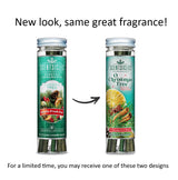 Scentsicles O Christmas Tree Scented Christmas Ornaments with Hooks - 3 Bottles (18 Sticks Total) Scentsicles