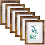 8x10 Picture Frame Brown Set of 6, Display Pictures 5x7 With mat or 8x10 Without Mat SESEAT