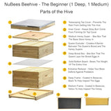 Bee Hive Complete with Frames & Wax Coated Foundations (NU8-2D1M) NuBee Hive