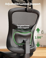 Marsail Ergonomic Mesh Office Chair: Mesh Desk Chair with Adjustable Lumbar Support, 2D Headrest & Up and Down Armrest, Ergonomic Gaming Chair for Home Office, Black Marsail