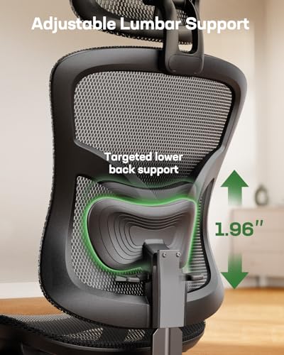 Marsail Ergonomic Mesh Office Chair: Mesh Desk Chair with Adjustable Lumbar Support, 2D Headrest & Up and Down Armrest, Ergonomic Gaming Chair for Home Office, Black Marsail