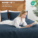 Love's cabin King Size Quilt Set Navy Blue Bedspreads - Soft Bed Summer Lightweight Bedspread Comforter - Modern Style Coin Pattern Coverlet for All Season - 3 Pieces (1 Quilt, 2 Pillow Shams) Love's cabin