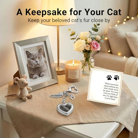Japrex Pet Hair Keepsake, Pet Fur Memorial Keepsake with Angel Wing Paw Print Charm, Heart Glass Memory Locket for Dog Cat Fur, Pet Loss Remembrance Gift for Pet Lovers Japrex