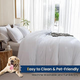 Paxrac Classic Pure White Comforter King Size, 3 Pieces Boho Comforter Set, Lightweight Solid Bedding Set, All Seasons Soft Breathable King Comforter Set (104x90In Comforter & 2 Pillowcases) Paxrac