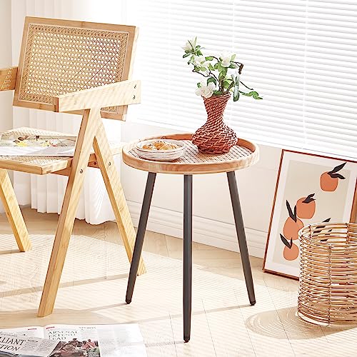 LITA Rattan Log Desktop Round Side End Table, Nightstand/Small Tables, Indoor Outdoor Wooden Tray Table with Metal Stand End Table for Living Room Bedroom Office Small Spaces LITA