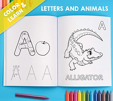 My Big Fun Coloring Book for Toddlers to Learn the Animals, Shapes, Colors, Numbers and Letters: Activity Workbook for Kids Ages 2-4 Years WoodArtSupply