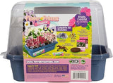 Grow Your Own Flower Princess Palace Terrarium Starter Kit - Blooming Jewelweed & Princess Flowers, Includes Pony, Royal Gems & Complete Supplies to Start Growing in a Week TOYS BY NATURE