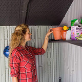 Lifetime 60243 10 x 8 Ft. Outdoor Storage Shed Lifetime