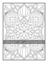 100 Amazing Patterns: An Adult Coloring Book with Fun, Easy, and Relaxing Coloring Pages LSC Communications