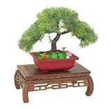 GOLDY&WENDY Vase Lamp Teapot Wooden Oriental Style Rectangular Base Rosewood Solid Wood Carving Display Stand GOLDY&WENDY