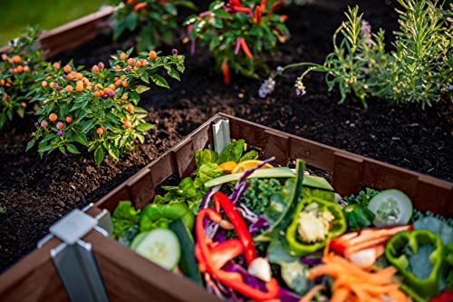 Vita Urbana 6 Foot x 6 Foot Embossed Vinyl Keyhole Garden with Composting Basket, Espresso Brown, PVC, BPA and Pthalate Free, VT17507 Vita